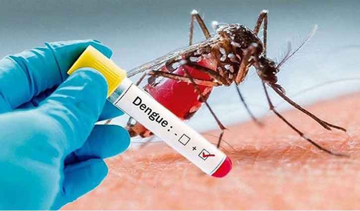 Dengue death toll crosses 450