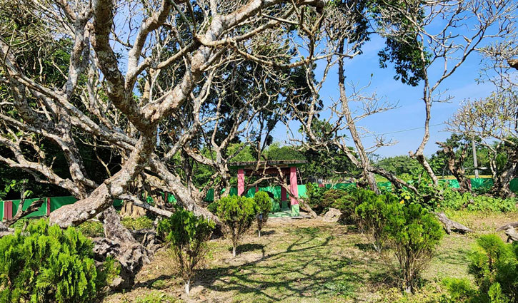 বীরাঙ্গনা সখিনার সমাধি নারীপ্রেম আর বীরত্বের প্রতীক