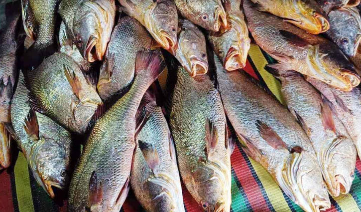 ১৫৯টি কালো পোপার দাম হাঁকানো হয়েছে ২ কোটি টাকা