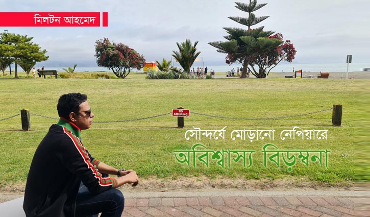 সৌন্দর্যে মোড়ানো নেপিয়ারে অবিশ্বাস্য বিড়ম্বনা