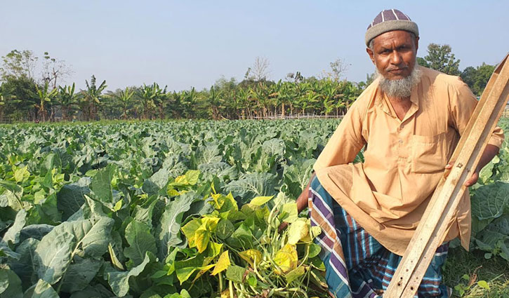 প্রতিবন্ধকতা জয় করে দেশসেরা কৃষক শফিউল