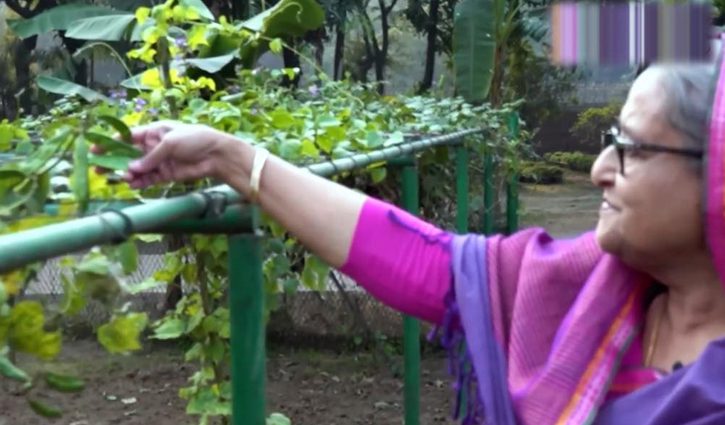 গণভবন যেন গ্রামের ‘গেরস্ত বাড়ি’