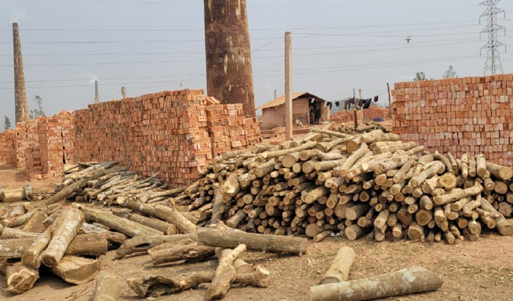 চন্দনাইশে পাহাড়ে ইটভাটা উচ্ছেদের বদলে নামমাত্র জরিমানা