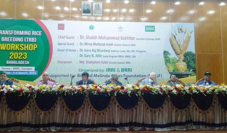 বাংলাদেশ ধান গবেষণা ইনস্টিটিউটে টিআরবি কর্মশালা 