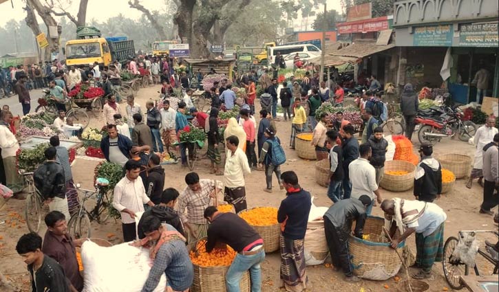 গদখালীতে ৮ কোটি টাকার ফুল বিক্রি