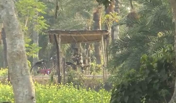 বিএসএফ’র গুলিতে গরু ব্যবসায়ী নিহত বিএসএফ’র গুলিতে গরু ব্যবসায়ী নিহত