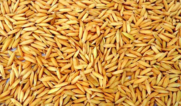 যুবলীগ নেতার বাধায় তিন জেলায় ধান বীজ সরবরাহ বন্ধ