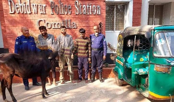 স্ত্রীর সঙ্গে বাজি ধরে শ্বশুরের গ্রামে গরু চুরি, জামাইসহ আটক ৩