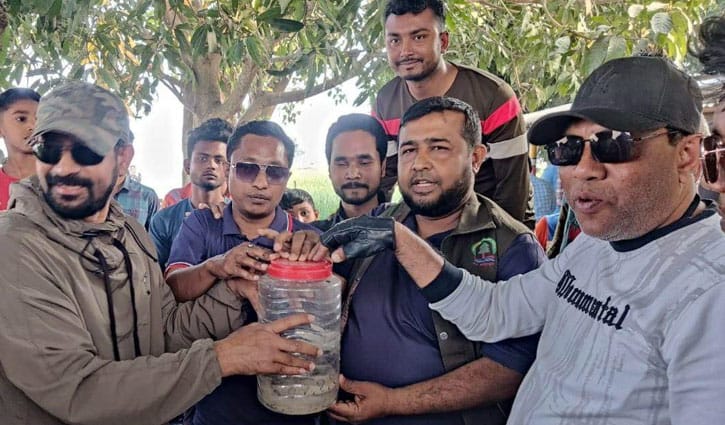 Deadly Russell viper rescued in Kushtia