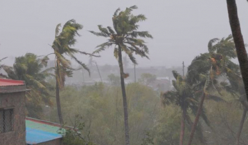Cyclone Freddy toll surpasses 300