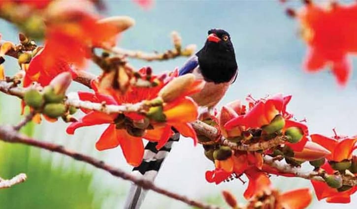 ‘আজি বসন্ত জাগ্রত দ্বারে’