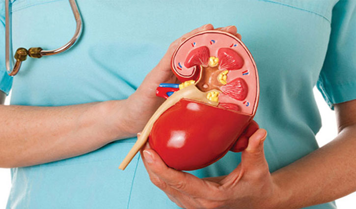 আজ বিশ্ব কিডনি দিবস