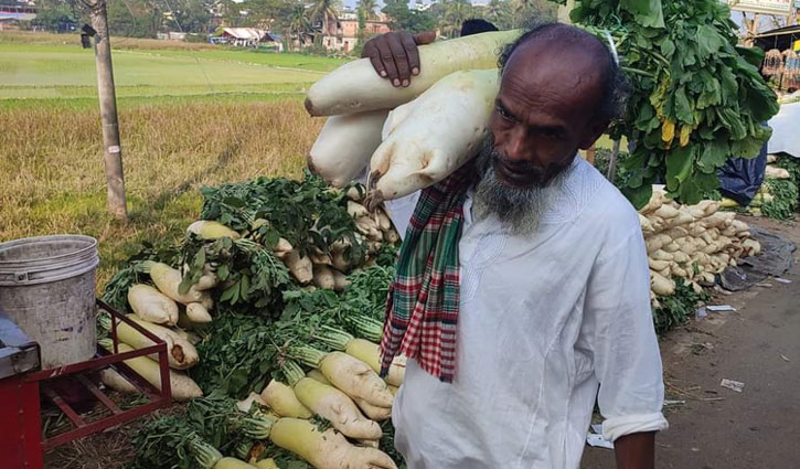 ভান্ডারি মূলা : বছরে একবার যে মূলার জন্য অপেক্ষা