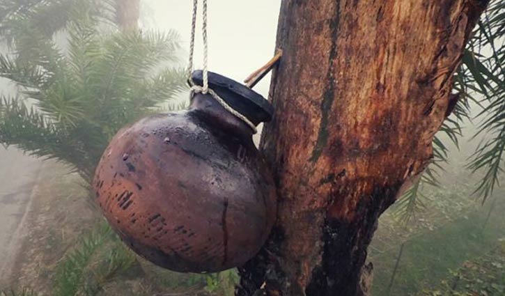 খেজুরের কাঁচা রস পান, ৩ দিন পর শিশুর মৃত্যু