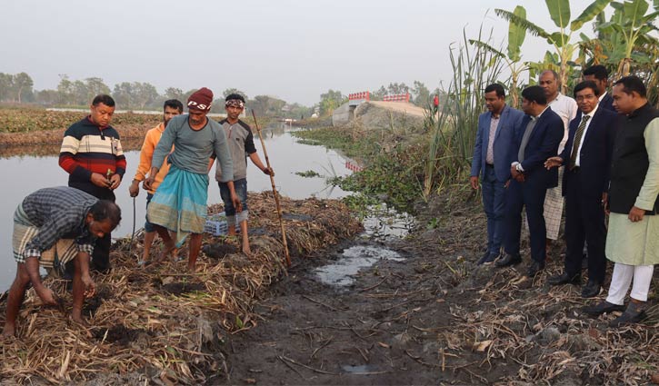 কোটালীপাড়ায় ভাসমান বেডে হচ্ছে সবজি চাষ কোটালীপাড়ায় ভাসমান বেডে হচ্ছে সবজি চাষ