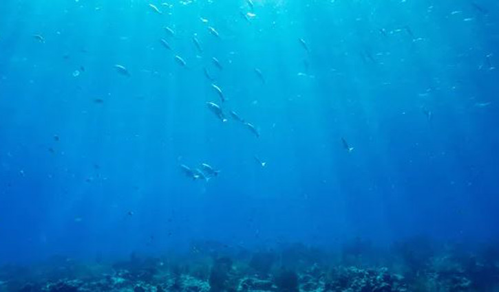 মহাসাগরগুলোর পৃষ্ঠের তাপমাত্রা সর্বকালের সর্বোচ্চ স্তরে