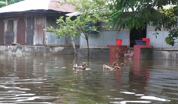 বাগেরহাটে গ্রামরক্ষা বাঁধ ভেঙে ৩ গ্রাম প্লাবিত