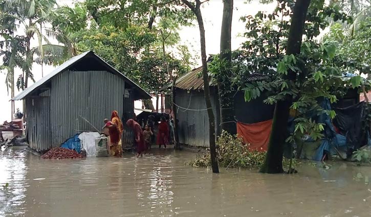 লক্ষ্মীপুরে আমন-সবজি ক্ষেত পানির নিচে 