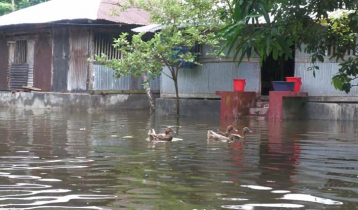 বাগেরহাটে গ্রামরক্ষা বাঁধ ভেঙে ৩ গ্রাম প্লাবিত