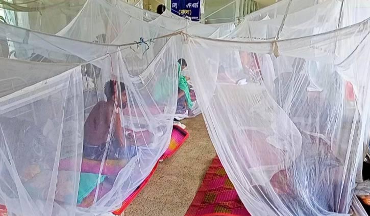 42 dengue patients admitted to MMCH