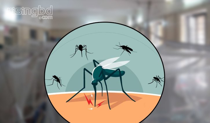 Ten dengue patients die, 2764 hospitalised in 24 hrs