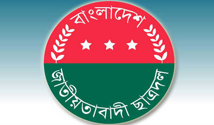 ছাত্রদলের সভাপতি-সম্পাদকের ওপর হামলার অভিযোগ 