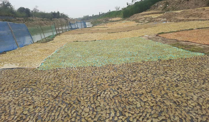 আলুর চিপসে স্বাবলম্বী কয়েক শ পরিবার