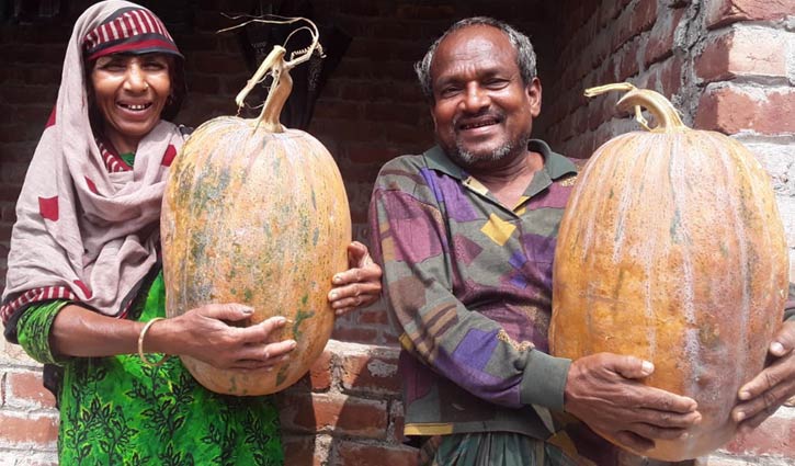 জয়পুরহাটের মিষ্টি কুমড়া যাচ্ছে সারা দেশে, কৃষকের মুখে হাসি