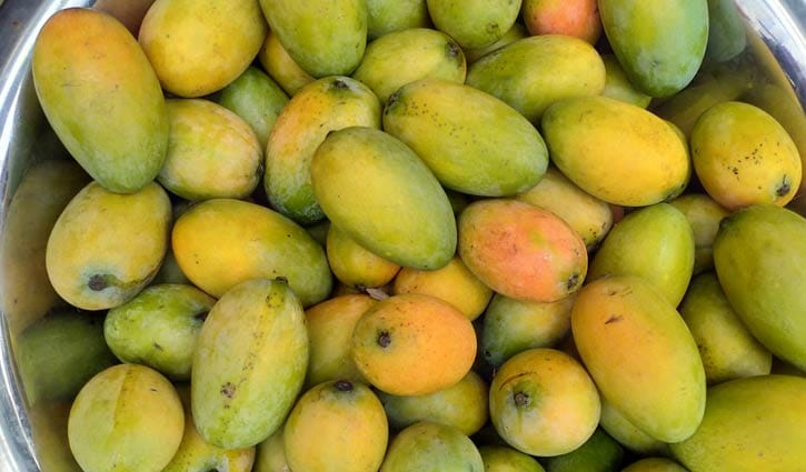 মাগুরার বাজারে পাকা আম, কেজি ২৫০ টাকা   