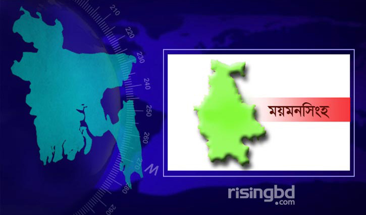 ময়মনসিংহে ট্রাকের ধাক্কায় নিহত ২