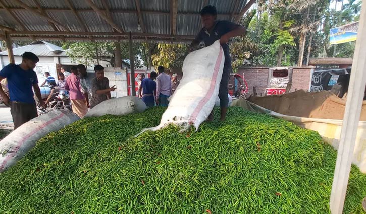 ২৫ টাকার কাঁচা মরিচ ৬০ টাকা