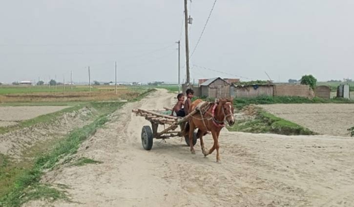 Electricity lights up 4 remote chars in Jamalpur