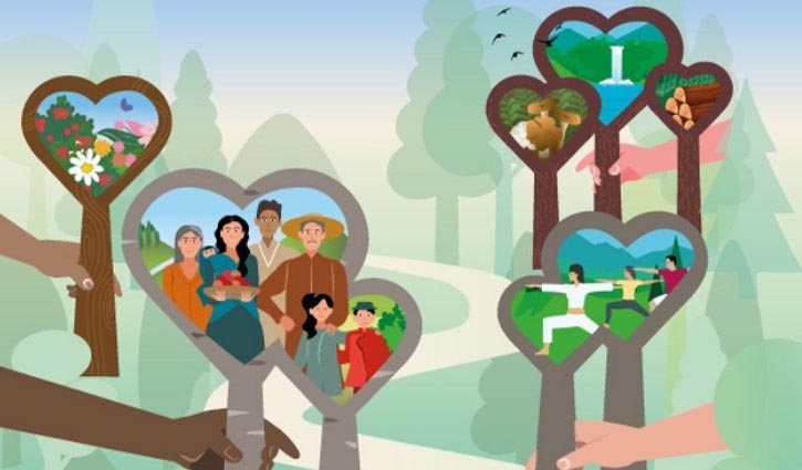 International Day of Forests today