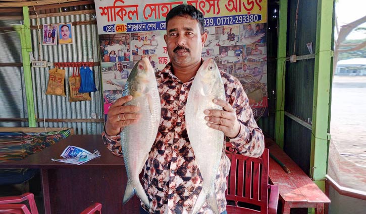 পদ্মার দুই ইলিশের দাম ১৭ হাজার টাকা