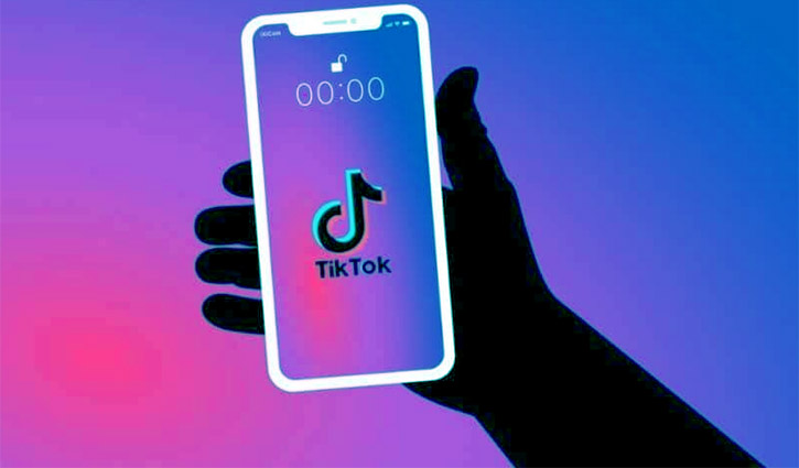 ডিসি-এসপির ছবি দিয়ে টিকটক, হবিগঞ্জে আটক ২