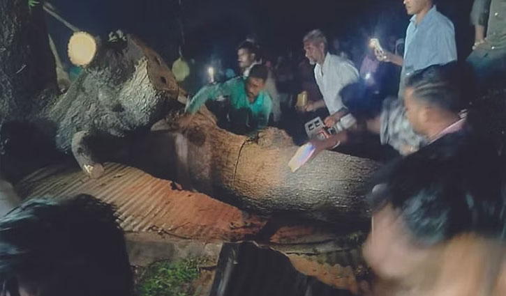 মহারাষ্ট্রে ঝড়ে গাছ উপড়ে পড়ে নিহত ৭