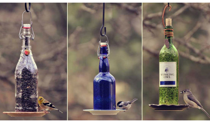 ‘আমার বৈয়ম পাখি কই’ সত্যিই কি এ নামে পাখি আছে?