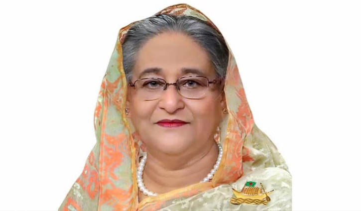 ১৫ দিনের মধ্যে বিদ্যুৎ পরিস্থিতির উন্নতি: প্রধানমন্ত্রী