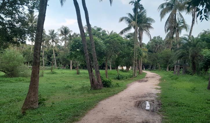 ভাওয়াল রাজবাগান হারাচ্ছে জৌলুশ, জমেছে মাদকের আড্ডা