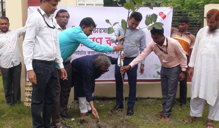 টুঙ্গিপাড়ায় বৃক্ষরোপণ কর্মসূচি পালিত