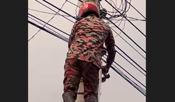 বিদ্যুতের তারে আটকা পড়া শালিক উদ্ধার করলো ফায়ার সার্ভিস