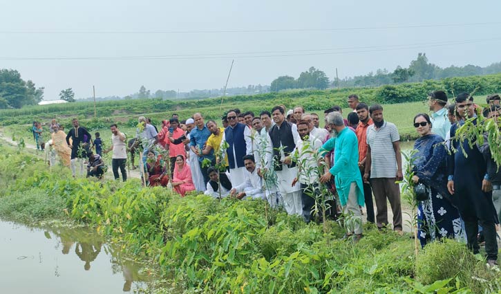 ‘‌‌উত্তরবঙ্গে ৫০ লাখ গাছ লাগাবে কৃষকলীগ’