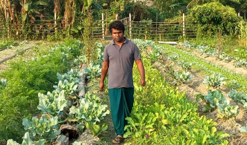 উচ্চ শিক্ষিত যুবকের ‘প্রাকৃতিক কৃষি খামার’