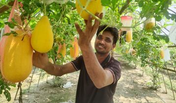 অসময়ে তরমুজ চাষে সফল নীলফামারীর ৩ কৃষক