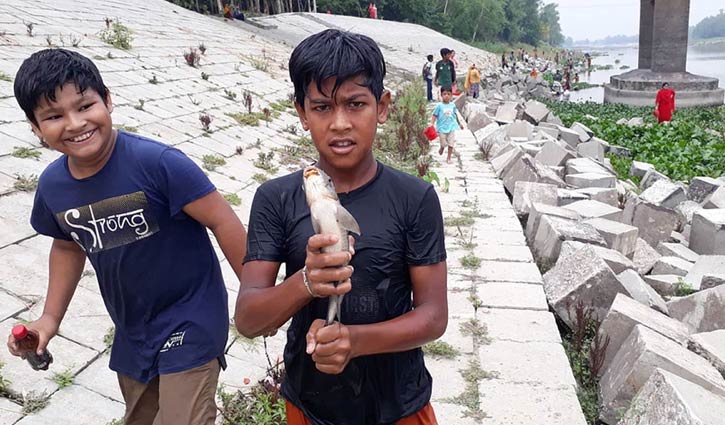 কারখানার বিষাক্ত বর্জ্যে নদীতে ভেসে উঠছে মরা মাছ