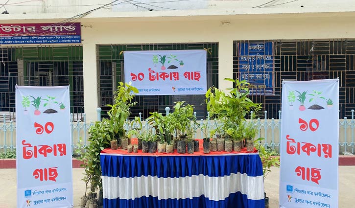 ১০ টাকায় গাছ