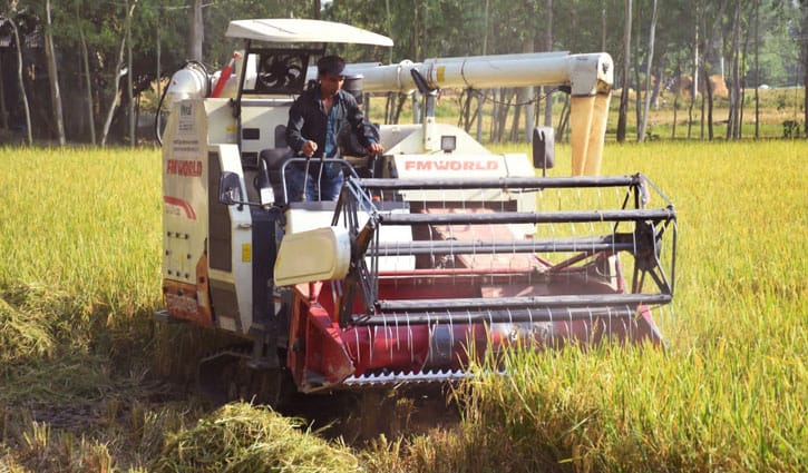 কম খরচে হারভেস্টারে ধান কাটতে আগ্রহী শেরপুরের কৃষক
