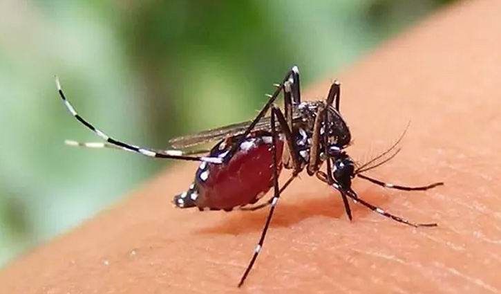 এক‌ দি‌নে ডেঙ্গু‌তে আক্রান্ত আরও ৯৫ জন