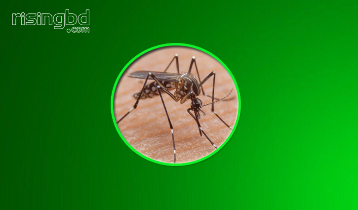 ডেঙ্গুতে বেশি মৃত্যুর কারণ ‘শক সিনড্রোম’