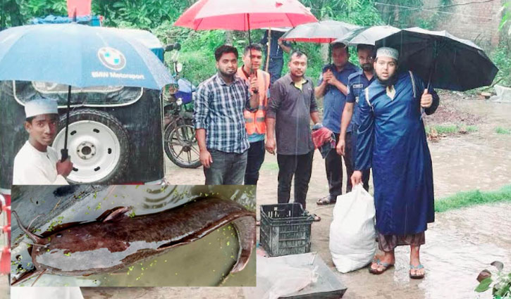 আফ্রিকান মাগুর মাছ বিক্রির অপরাধে দুজনকে জরিমানা